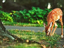 7 Person Holiday Home in Algaras-by Traum