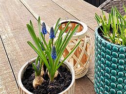 6 Person Holiday Home in Vinderup