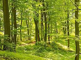 6 Person Holiday Home in Ullared-by Traum