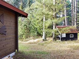 4 Person Holiday Home in Store Fuglede-by Traum