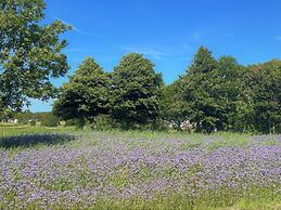 4 Person Holiday Home in Skarhamn-by Traum