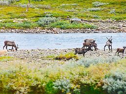 5 Person Holiday Home in Kokelv