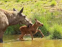 5 Person Holiday Home in Salen-by Traum