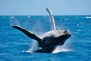 Villa With Ocean View bbq Pool in Samana