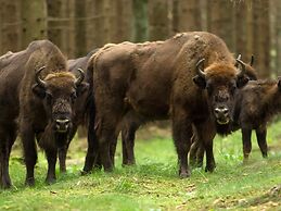 4 Person Holiday Home in Ronne