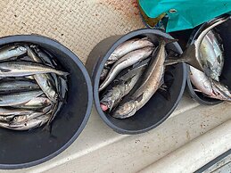 11 Person Holiday Home in Tarva