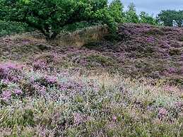 6 Person Holiday Home in Hals