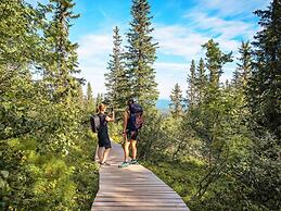 12 Person Holiday Home in Idre-by Traum