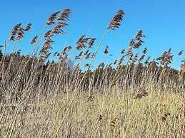 8 Person Holiday Home in Berg
