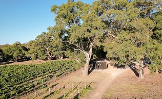 CABN McLaren Vale