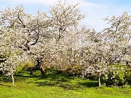 8 Person Holiday Home in Innvik-by Traum