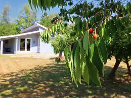 10 Person Holiday Home in Dannemare