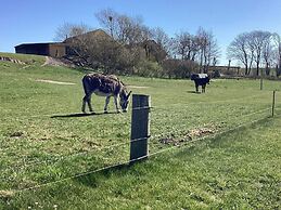 6 Person Holiday Home in Fur