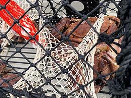 9 Person Holiday Home in Fjortoft