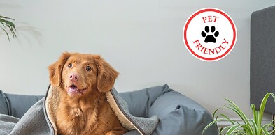 OYO Hotel I-20 Decatur, East Atlanta