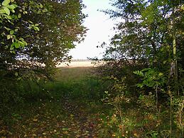 6 Person Holiday Home in Taastrup