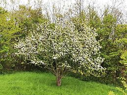 6 Person Holiday Home in Tranekaer