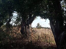 6 Person Holiday Home in Tranekaer