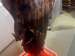 8 Person Holiday Home in Leka-by Traum