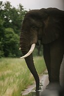 Zambezi Sands By Batoka