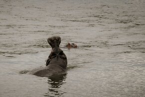 Zambezi Sands By Batoka