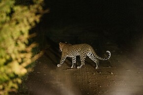 Zambezi Sands By Batoka