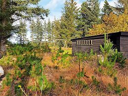 5 Person Holiday Home in Fjerritslev