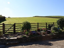 Little Orchard