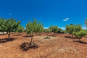 3068 Masseria Macchia- Suite Matrimoniale 2 by Barbarhouse