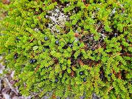 10 Person Holiday Home in Salen-by Traum