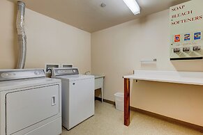 Black Bear #8038 by Summit County Mountain Retreats