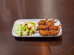 OYO Stay Inn Express