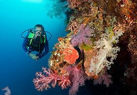 Magic Oceans Dive Resort