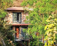 The Divine Hills Resort Udaipur