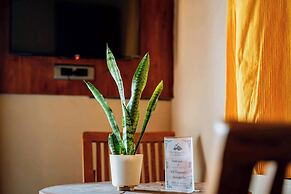 The Divine Hills Resort Udaipur