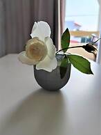 Lefteris Insta-worthy Studio With Garden View