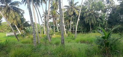 Anuradhapura Kingdom View Resort
