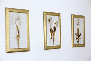 Resort Ravenna - Villa Dama