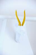 Resort Ravenna - Villa Dama