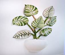 Resort Ravenna in Massa Lubrense