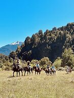 Rio Manso Camp - Glamping Bariloche