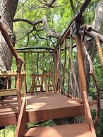 Nido Ecoluxury Treehouse - Casa de Arbol