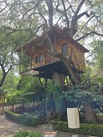 Nido Ecoluxury Treehouse - Casa de Arbol