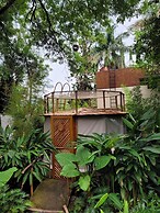 Nido Ecoluxury Treehouse - Casa de Arbol