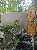 Nido Ecoluxury Treehouse - Casa de Arbol