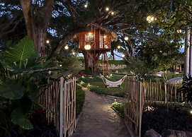 Nido Ecoluxury Treehouse - Casa de Arbol