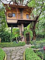 Nido Ecoluxury Treehouse - Casa de Arbol