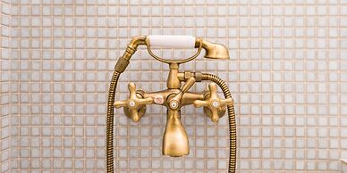 My Pavilion to Arashiyama & Gion