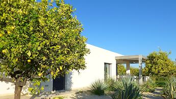 Villa Papeda in Noto