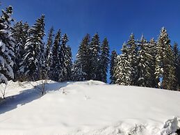 NOMAD ALP B&B